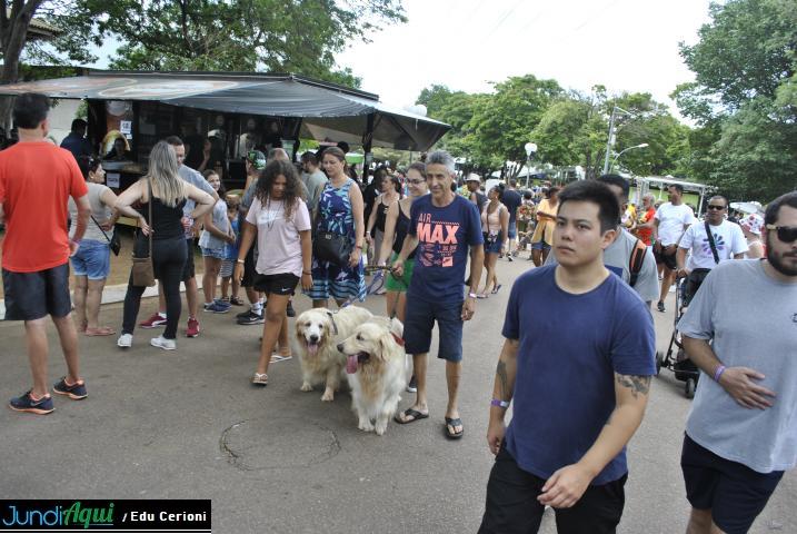  Cães se sentem em casa na Festa da Uva